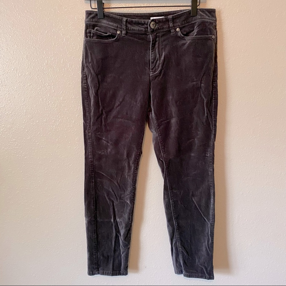 J. Jill Velvet Skinny Pants